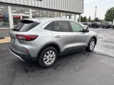 Used 2023 Ford Escape Active w/ Tech Pack #2 image 3