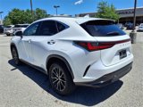 Used 2024 Lexus NX 250 FWD w/ Premium Package image 5