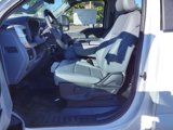 New 2023 Ford F350 XL w/ Snow Plow Prep Package image 5