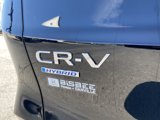 New 2025 Honda CR-V Sport-L image 5