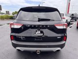 Used 2020 Ford Escape Titanium image 4
