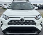 Used 2019 Toyota RAV4 Limited image 3
