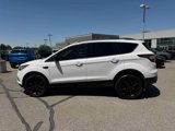 Used 2017 Ford Escape SE w/ Equipment Group 201A image 2