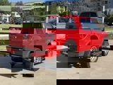 Used 2014 Ford F150 FX4 w/ Equipment Group 402A Luxury image 4