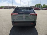 Used 2021 Toyota RAV4 XLE Premium image 5