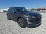 Used 2020 Ford Escape SEL image 4