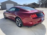 Used 2016 Ford Mustang Premium w/ Equipment Group 201A image 6