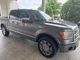 Used 2010 Ford F150 Platinum image 2