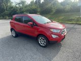 Used 2020 Ford EcoSport SE image 4