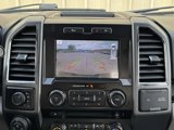 Used 2016 Ford F150 XLT w/ Equipment Group 302A Luxury image 4