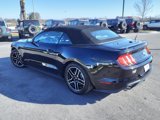 Certified 2022 Ford Mustang Premium image 5