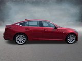 Certified 2024 Cadillac CT5 Luxury w/ Sun And Sound Package image 6
