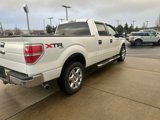 Used 2013 Ford F150 XLT image 4