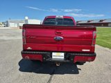 Used 2013 Ford F150 FX4 w/ Luxury Equipment Group image 4