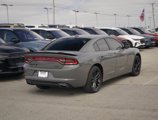 Used 2019 Dodge Charger SXT w/ Blacktop Package image 5