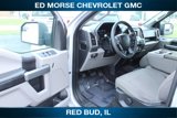 Used 2016 Ford F150 XLT image 6