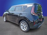 New 2025 Kia Soul LX image 4