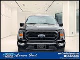 Certified 2022 Ford F150 XLT w/ Equipment Group 302A High image 2