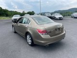 Used 2008 Honda Accord EX-L image 6