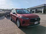 Used 2023 Ford Escape Active w/ Tech Pack #1 image 4