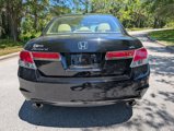 Used 2012 Honda Accord EX-L image 6