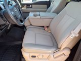 Used 2013 Ford F150 XLT w/ Luxury Equipment Group image 5