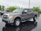 Used 2013 Ford F150 XLT w/ Trailer Tow Pkg image 2