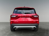 Used 2023 Ford Escape Active w/ Tech Pack #1 image 6