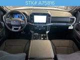New 2025 Ford F150 XLT w/ Equipment Group 302A MID image 3