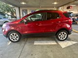 Used 2020 Ford EcoSport SE image 2