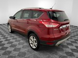Used 2014 Ford Escape Titanium image 4