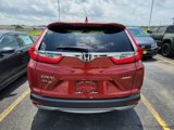 Certified 2019 Honda CR-V EX image 4
