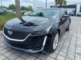 Certified 2024 Cadillac CT5 Luxury w/ Sun And Sound Package image 2