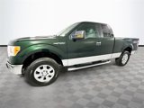 Used 2012 Ford F150 XLT w/ XLT Chrome Pkg image 4