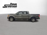 Used 2013 Ford F150 XLT w/ Luxury Equipment Group image 2