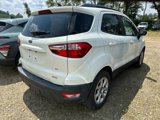 Used 2019 Ford EcoSport SE image 4
