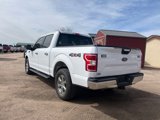 Used 2018 Ford F150 XLT w/ Equipment Group 301A Mid image 5