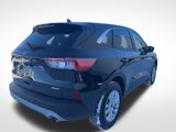 Used 2022 Ford Escape SE w/ Cold Weather Package image 4