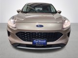 Certified 2020 Ford Escape SE image 2