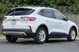 Used 2021 Ford Escape SE image 3
