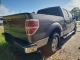 Used 2009 Ford F150 XLT image 4