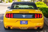 Used 2016 Ford Mustang Convertible w/ Equipment Group 051A image 6