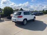 Used 2014 Volkswagen Tiguan SEL image 5