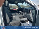 New 2025 Ford F150 XLT w/ Equipment Group 301A Standard image 4