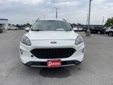 Used 2020 Ford Escape SEL image 3