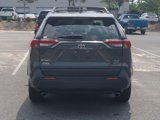 Used 2019 Toyota RAV4 XLE Premium image 5