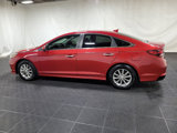 Used 2018 Hyundai Sonata SE w/ Cargo Package image 3