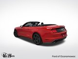 Used 2019 Ford Mustang Premium image 3