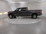 Used 2013 Ford F150 XLT w/ XLT Chrome Pkg image 5