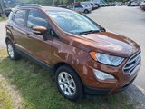 Used 2019 Ford EcoSport SE image 3